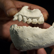 Illustration for article titled Anthropologists Have Discovered a Totally New Human Ancestor